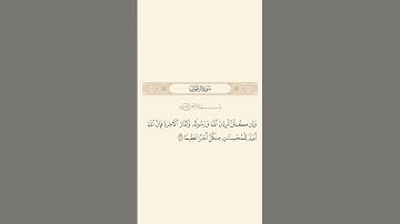 سورة الأحزاب: الآية 29 #قرآن #قران_كريم #quran #سورة_الاحزاب #آيات