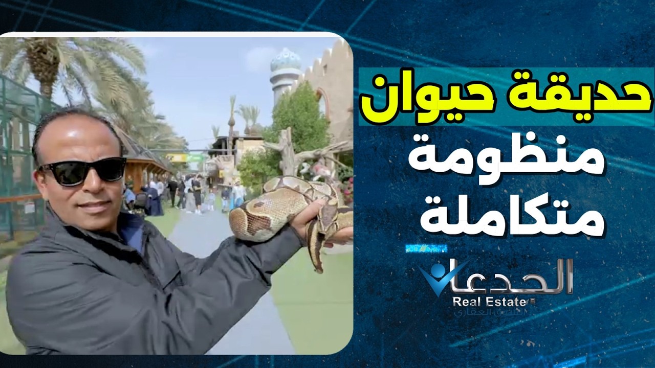 Хотите позавтракать с жирафом и пообедать со львом и тигром? Немедленно посетите зоопарк Эмиратов...