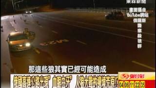【關鍵時刻2300】俄國高速公路出現血眼白牙 人狼大戰的邊境荒原1020212