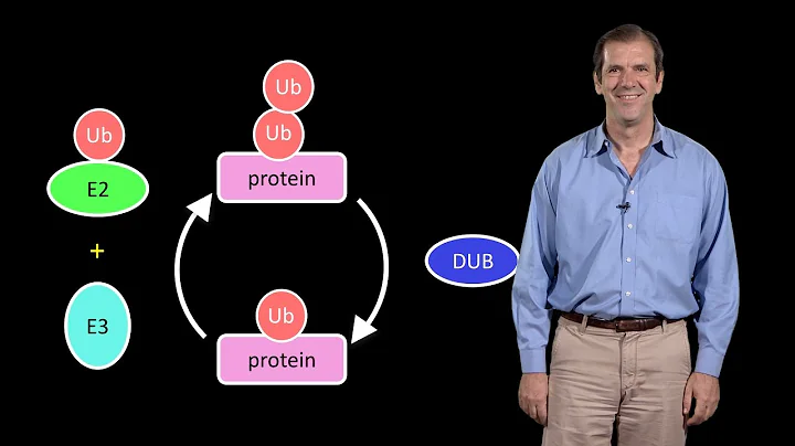 Deshaies (Amgen) 1: A primer on the ubiquitin-prot...