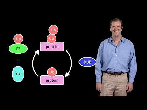 Deshaies (Amgen) 1: A primer on the ubiquitin-proteasome system