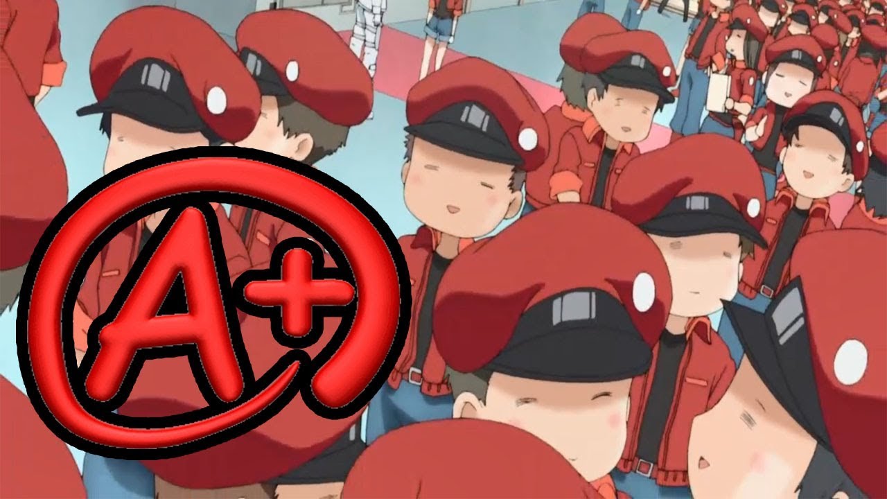 Hataraku Saibou Black: Your - Anime Access アニメ アクセス