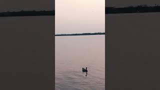 😥😥 #keşfet #duet #xbox #online #motivation #comedyfilms #fishing #animals #funny #art s #videodiary