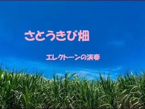 「さとうきび畑 」エレクトーンELS-02演奏による