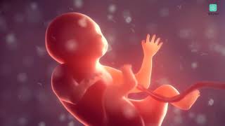 Talk to your baby in the womb with this Pregnancy App