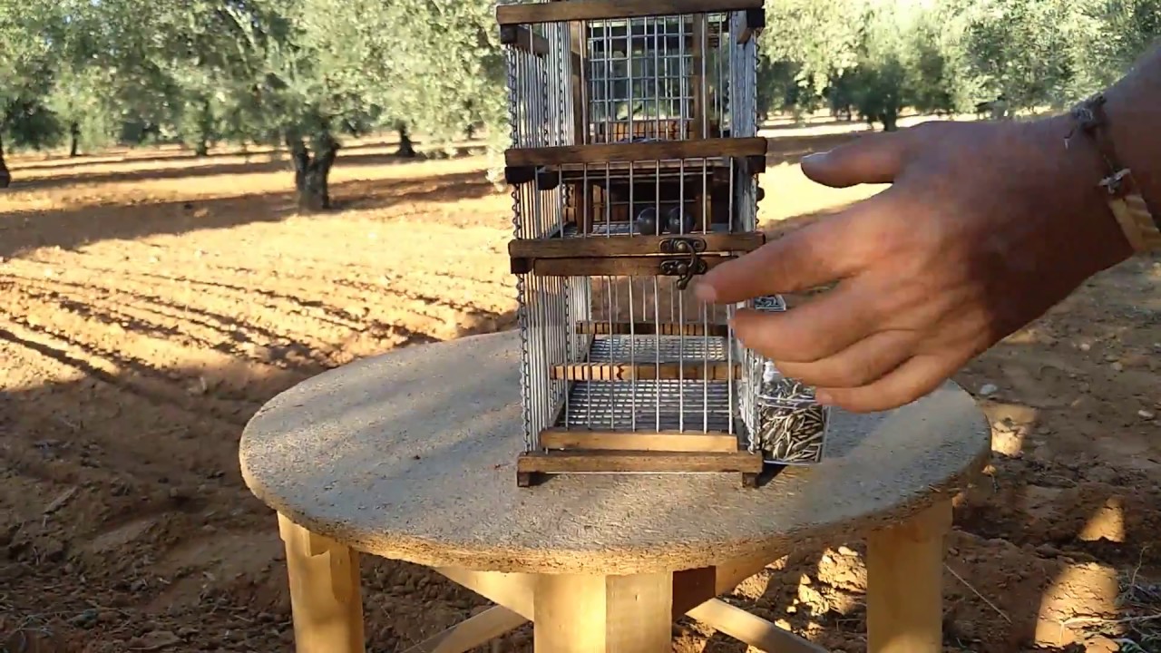 Jaula trampa multicapturas balancin cubano de contrapesos