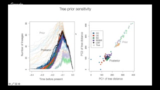Phyloseminar #81: Sebastian Duchêne (University of Melbourne)