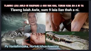1948 Kuma Awle-in Tlawng luia naupang a sek hlum ṭep ( Pu) Hmuaka, Hortoki khua kawmna