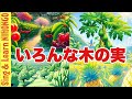 4年生音楽 いろんな木の実 二部合唱 ピアノ伴奏 リズム伴奏つき 中山知子 日本語詞 西インド諸島民謡 加賀清孝 編曲 4年生音楽 いろんな木の実 二部合唱 ピアノ伴奏 リズム伴奏つき 中山知子 日本語詞 西インド諸島民謡 加賀清孝 編曲