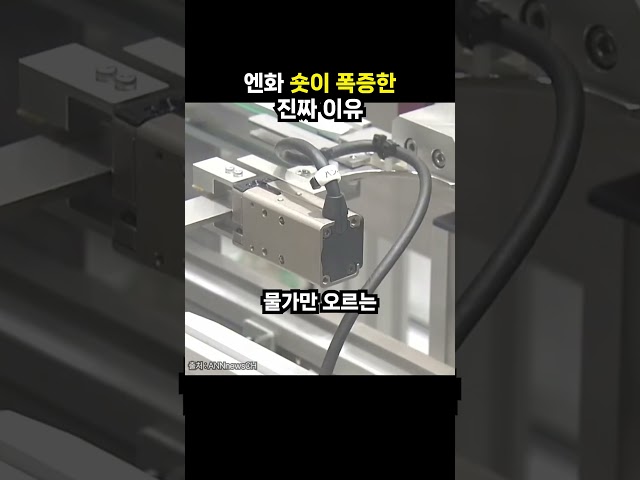 엔화 숏이 폭증한 진짜 이유 (이슈딸깍)