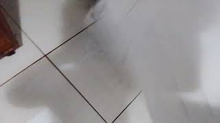 alpha beta cinema cartas n