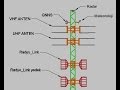 Alçak İrtifa Radar&Haberleşme Sistemi/Low Altutide Radar Syst#SkySafetyem for Drone