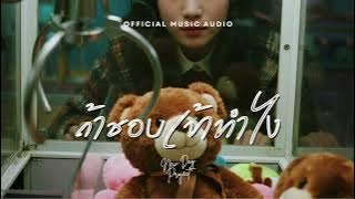 ถ้าชอบเข้าทำไง-NEW DAY PROJECT | OFFICIAL MUSIC AUDIO