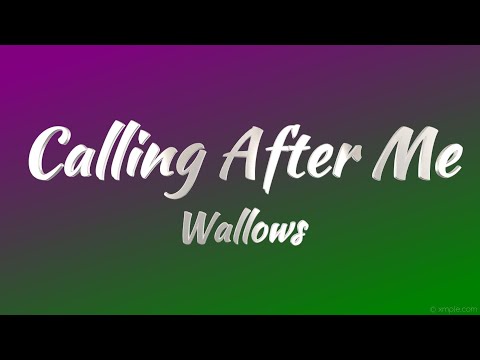 Wallows - Calling After Me (Lyrics)