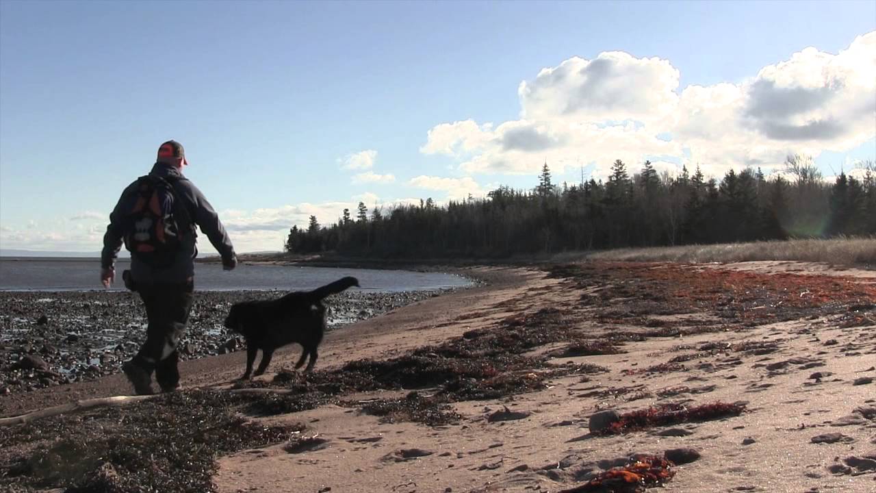 Caribou Munroes Island Hiking in Nova Scotia YouTube
