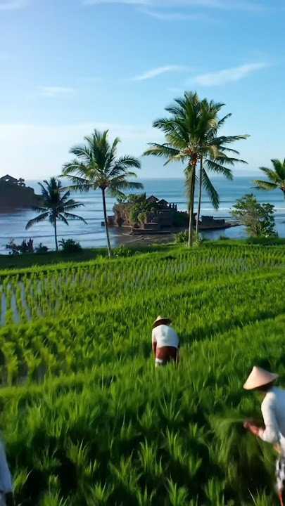 JAWA BARAT INDONESIA YANG LUAR BIASA EPIK | REKAMAN ALAM SINEMATIK AI PANDANGAN UDARA EPIK #drone #aivideo