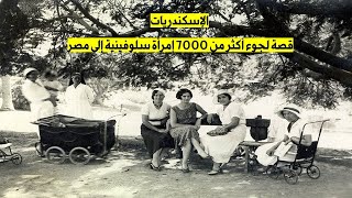 الإسكندريات - أكثر من 7000 لاجئة سلوفينية في مصر