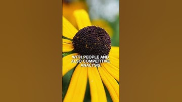 UX Design: Understanding Users and the Importance of Competitive Analysis