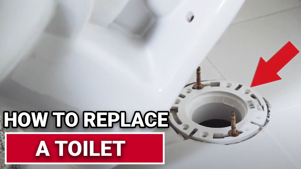 How To Replace A Toilet Ace Hardware YouTube