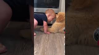 Let me hear you say Awwww ... cute baby and their best friend puppy #shorts #puppy #cute #dog #dogs