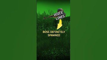 Easy Guide to Shturman  #escapefromtarkov