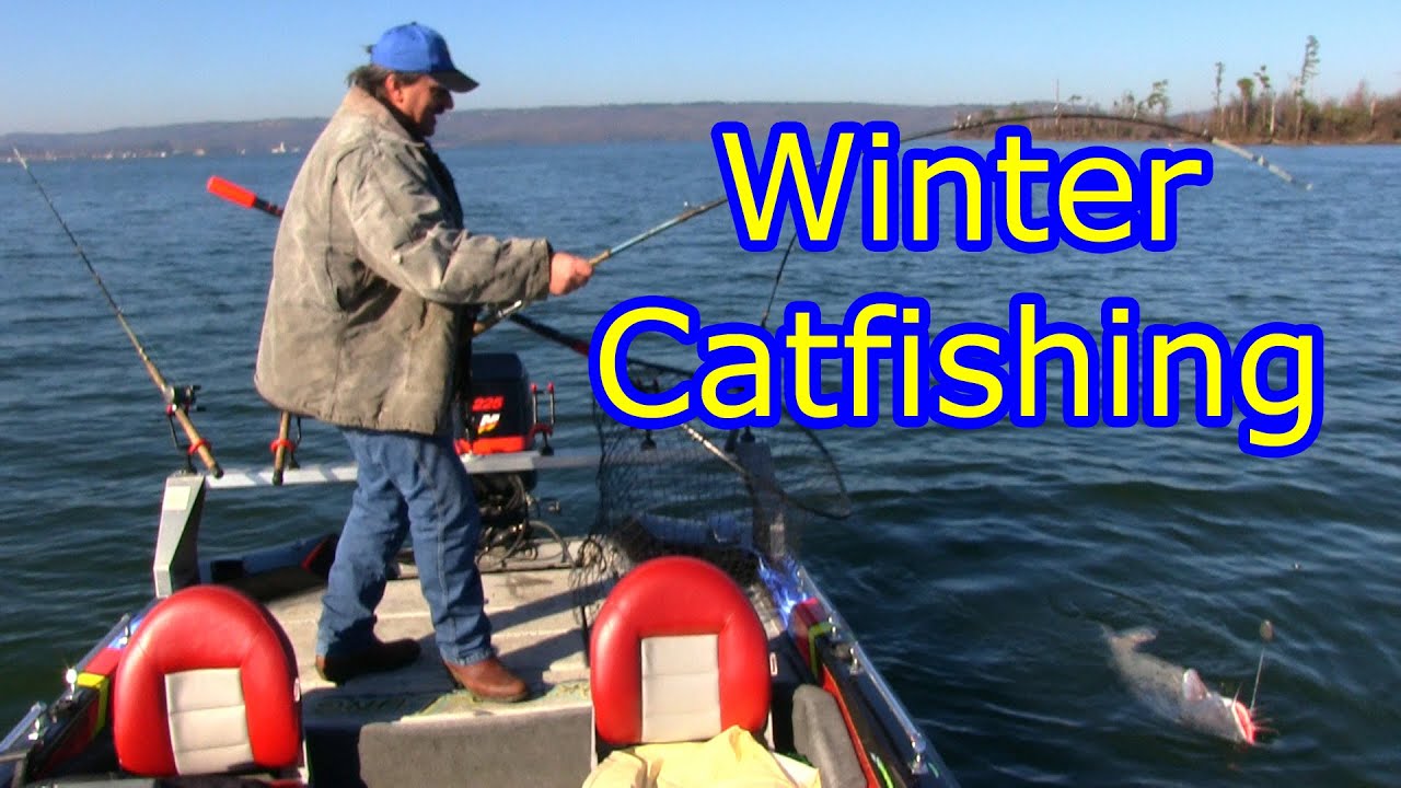 Catching some Winter time Blue catfish YouTube