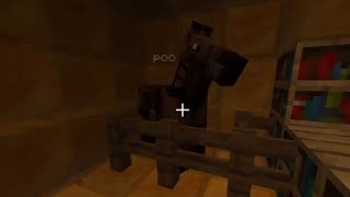 this cursed Minecraft video will trigger you