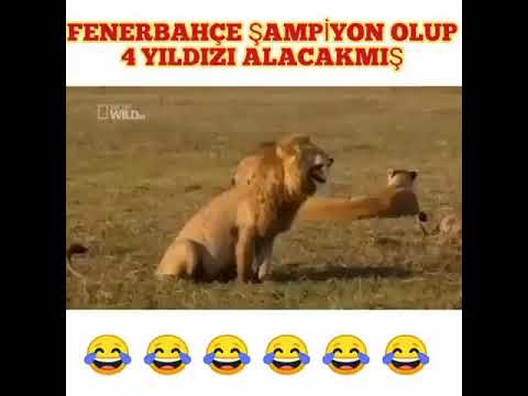 FENERBAHÇE ŞAMPİYON OLACAK