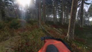 PS5 DayZ Official Servers: Searching For Explosives