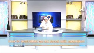 How to react when we are struck with calamities? - Sheikh Assim Al Hakeem