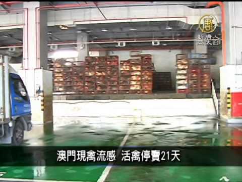 3月13日中國一分鐘  「小悅悅」翻版 浙江老婦遭四車輾死