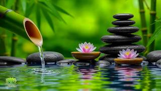 Relaxing Piano Music & Water Sounds 🌿 Healing Meditation for Stress Relief and Deep Sleep screenshot 3