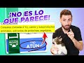 NO COMETAS ESTOS ERRORES a la hora de ELEGIR EL ALIMENTO SECO DE TU GATO 😼🍲 | ¡Que no te confundan!