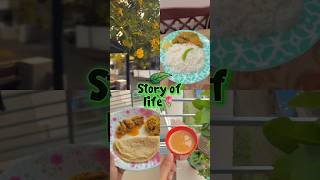 Story of life🌿🍃🌹#food #minivlog #dailyvlog