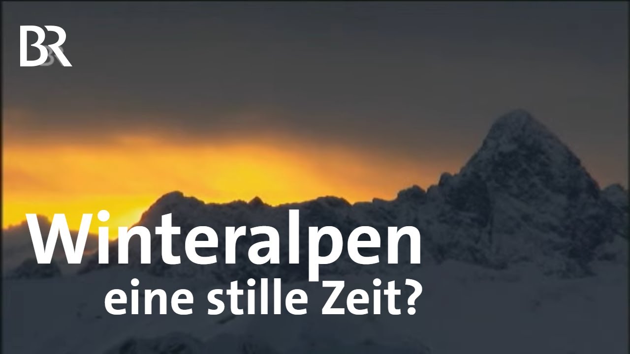 Alpentiere im Winter: Eine stille Zeit in den Bergen | Zwischen Spessart und Karwendel | BR