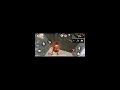 FREE FIRE LIVE || REEDEM CODE GIVEAWAY |FF LIVE GIVEAWAY || CUSTOM ROOM || FF GIVEAWAY#lokeshgamer