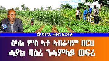 ዕላል ምስ ኣቶ ኣብራሃም በርሀ-DimTsi Hafash Eritrea/ድምጺ ሓፋሽ ኤርትራ