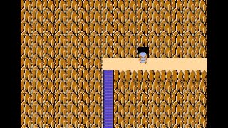 The Legend of Zelda, Second Quest, Level-9