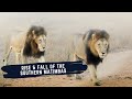 STORY OF SOUTHERN MATIMBA MALE LIONS - THE LEGENDARY COALITION OF MALE LIONS THAT DEFIED ALL ODDS