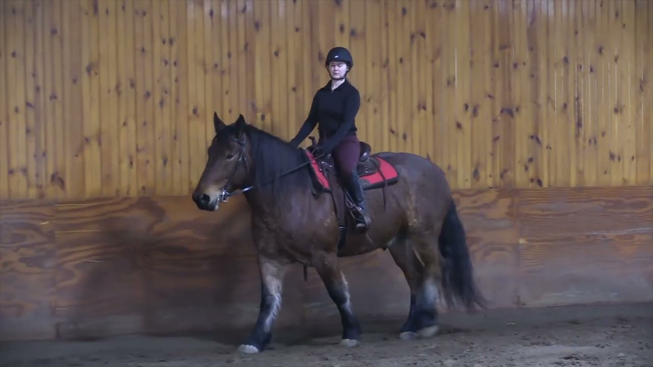 Ernie Lessons 1-12-2026 Part I