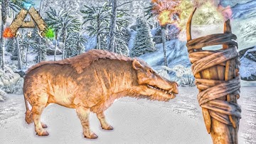 Low Level Daeodon tame ARK ultimate mobile edition|ARK survival evolved tamed Daeodon|Hindi 2025