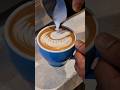 Wave swan  latte art