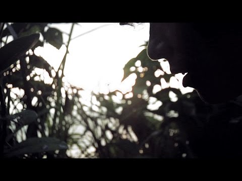 LULACRUZA -  SHELTERED ME (ESPERANDO EL TSUNAMI VISUAL ALBUM)