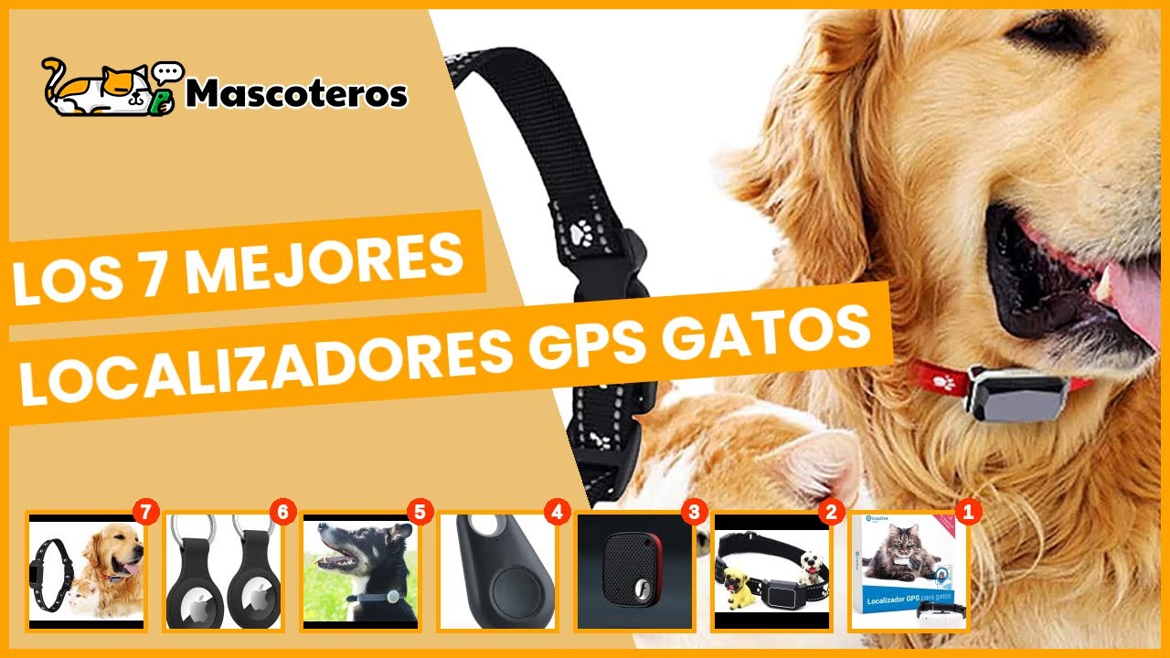 Collar GPS para gatos (con @Elnotaese) - La red de Mario 