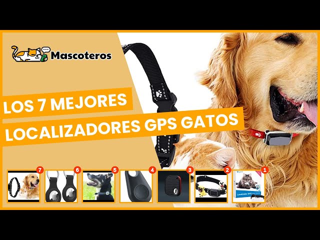 Tractive - Collar gato GPS, Localización en tiempo real, Historial