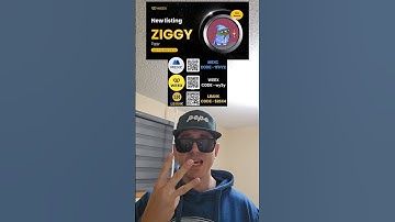 $ZIGGY - ZIGGY TOKEN CRYPTO COIN HOW TO BUY MEXC WEEX LBANK CEX SOL SOLANA MEMECOIN NEW BLOCKCHAIN