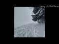 [FREE] summrs x goyxrd x pluggnb type beat "botanica"