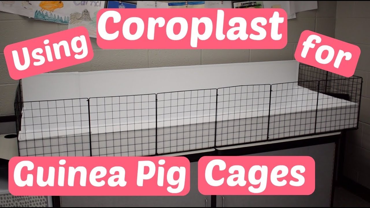 Coroplast for Guinea Pig Cage 24 x 36 Pack of 4-4 Pack 24x36 Corrugated Pla...