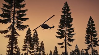 The Sunset Tree — ShackTac
