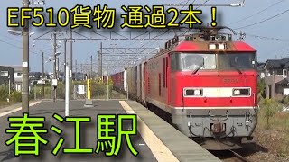 【JR北陸本線】521系 681系特急しらさぎ 683系特急サンダーバード EF510 春江駅発着&通過集